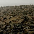 Cape Cross = Big Seal Toilet! The photo above was taken at Cape Cross, in Namibia. No, it’s not a rocky beach – those dark lumps are thousands of seals!...