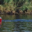 Aswan, Egypt – Mini Me Boats! Once you venture south of Cairo after checking out the Pyramids (even inside them) and down towards Luxor and Aswan in Egypt, you will most likely...