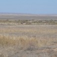 Kazakhstan is nothing like Borat! Kazakhstan. Ok, most people on the planet have only heard about Kazakhstan because of the outrageous ‘Borat‘ character, played by Sasha Baron Cohen.  Ironically, his...
