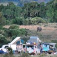 Ngorogoro Crater Campground Rocks! This photo was taken at the camping ground on the edge of the Ngorogoro Crater in Tanzania. Yes, this elephant is not fenced in at all. ...