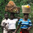 Masters of Transport and Logistics, Tanzania Masters Of Transport and Logistics Time! Today’s Masters of Transport and Logistics Photo comes from Tanzania, in Africa. You see this everywhere in Africa – women doing the hard yards...