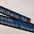 The World’s Steepest Street Bro! The World’s Steepest Street is Baldwin Street, in Dunedin, New Zealand. Because the sign says so! I photographed it! Like any good local council wanting...