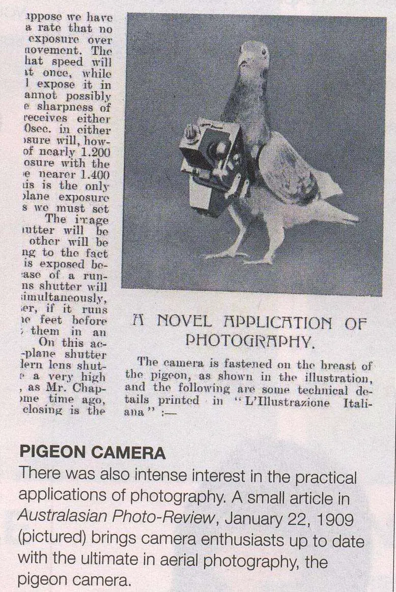 The Pigeon Camera - The Google Earth Of The Early 1900S