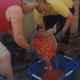 Making Tomato Pasta Sauce – In Bulk! Making Tomato Pasta Sauce – Most of us just buy Tomato Pasta Sauce from the supermarket in a jar.  But my relatives in...