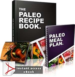 Paleo Recipe Book Paleo Recipe Book