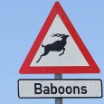 Funny Travel Photos time! It’s time for a dose of Funny Travel Photos for the week. Actually, that’s one of the best things I love about travelling – checking out...