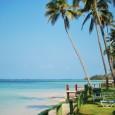 Coconut Husking and Cracking – The Hard Way! Coconuts are an essential part of the diet in Fiji.  You’ll see entire coastlines covered in them, and Coconut fringed beaches are...