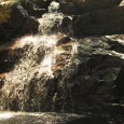 Rainforest Walks In Fiji The largest Fijian island of Viti Levu has a number of Rainforest Walks that involve a number of cultural and natural sights. I went on a...
