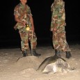 Sea Turtles: Egg Guardians From The Military Sea Turtles Under Armed Guard! Today’s Funny Travel Photo is of the Sea Turtles and their Military Egg Guardians. It’s from Annabel Candy from Get In The Hot Spot. Sea...