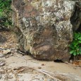 Castaway Movie – was not shot on Castaway Island! For the movie buffs out there who enjoyed the Castaway Movie, ironically, the movie was not shot on Castaway Island which...