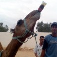 Digital Camera Competition Winner for Low Cost Holidays and Go Snap Happy Digital Camera Competition – Some Funny Travel Photos! Well, I’ve had a look through a heap of Funny Travel Photos that were uploaded by many travellers with a sense of...