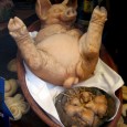 Funny Pig Pictures – WTF! Today’s bizarre travel photo is from Charlotte from Quirky Guide. You can follow @QuirkyGuide on Twitter and say hello. Anyway, check out this Funny Pig...