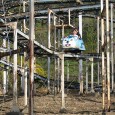 The Worst Theme Parks In The World The Worst Theme Parks in the World Today, I’ve got a gust post from Joe Johnson about some of the dodgey theme parks you may choose to visit throughout the...