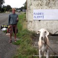 Rabies Shots – In New Zealand? Today, I have a really weird travel photo from Jade and James from OurOyster.com. Say hi to @our_oyster on twitter and Facebook. It’s of...