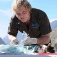 Luke Gamble Talks about Travel and Animals! Hi there travel addicts, today I’ve scored an interview with Luke Gamble, who you would have seen on TV with his really interesting...