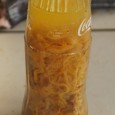 Seafood Recipes to make you spew! Here is one to add to the weird foods list to try before you die. Or maybe, it’s one of the meal to try...