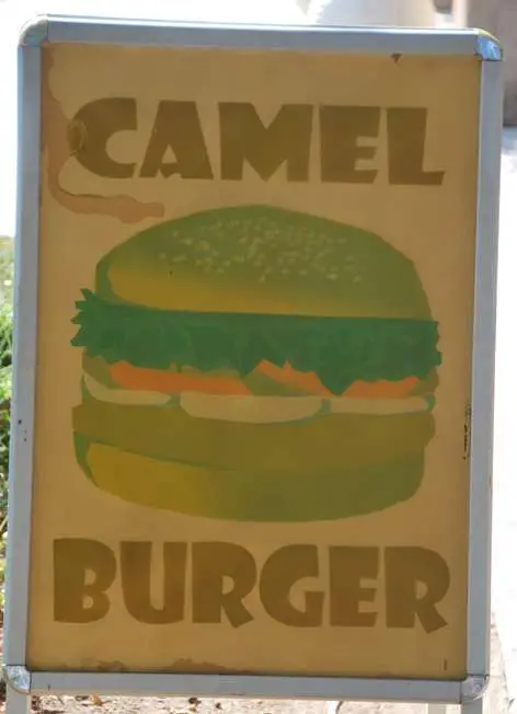 Camel Recipes - Camel Meat Burger