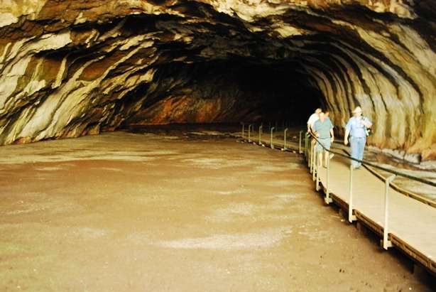 Lava Tubes In Australia - Undara Volcanic National Park Experience