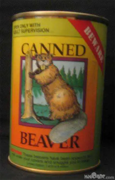 Canned Beaver