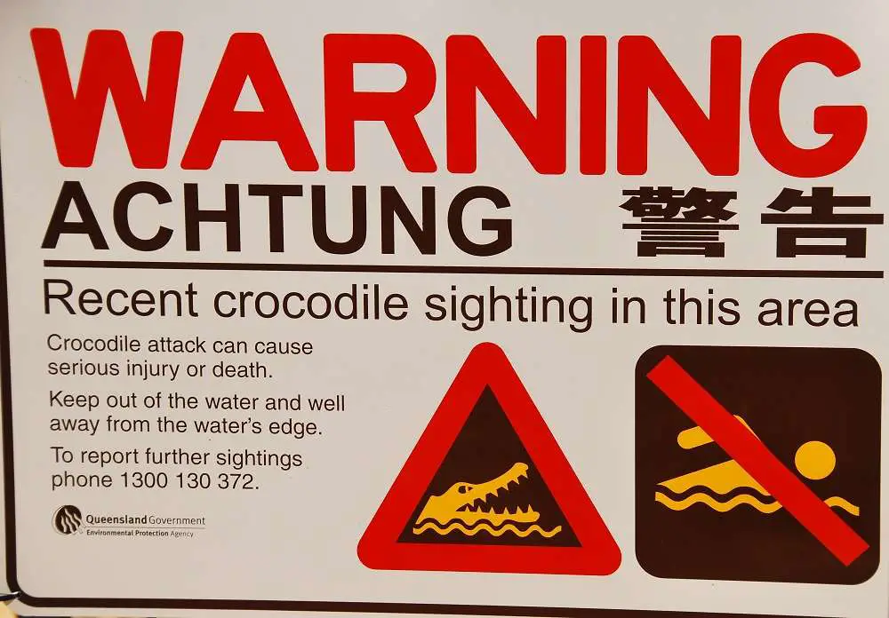 Warning Signs - Crocodile