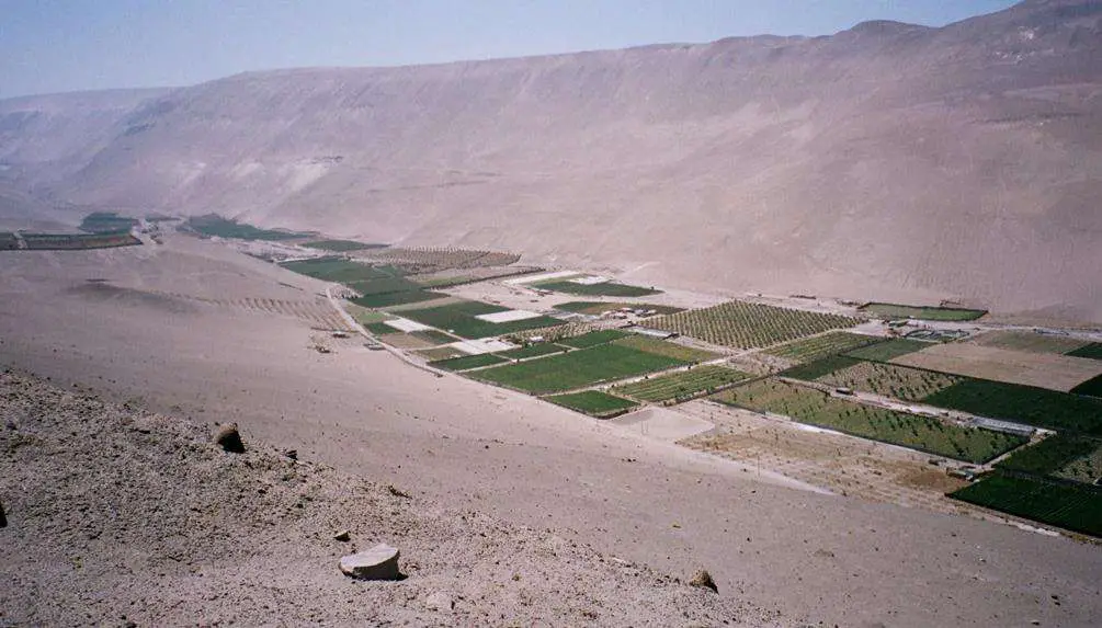 Chilean Desert