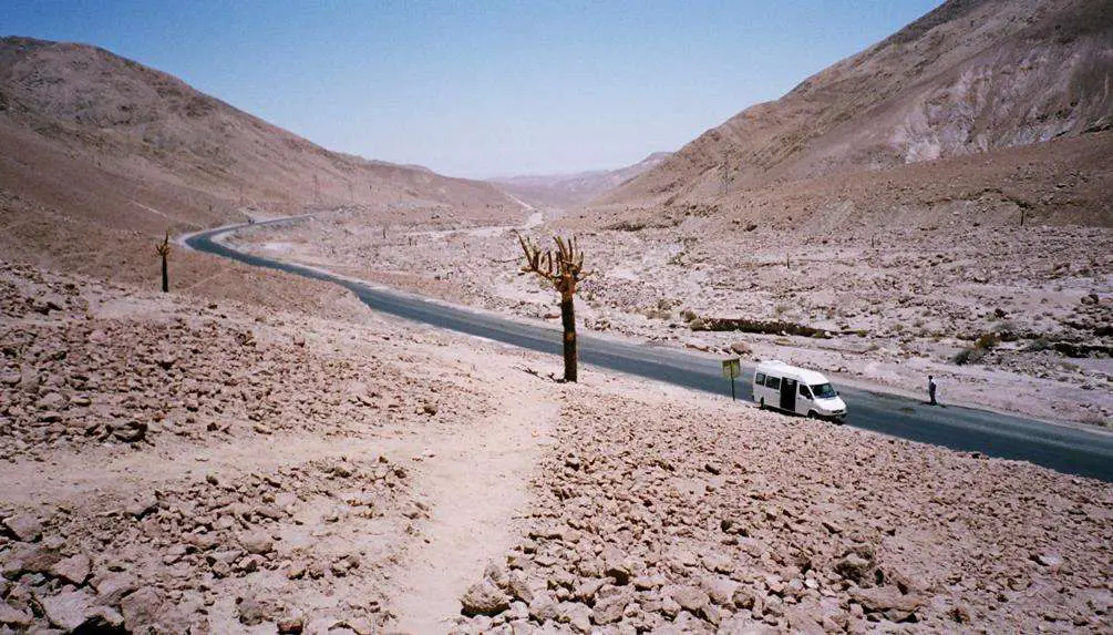 South American Desert