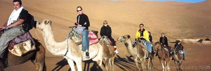 Camel-Ride