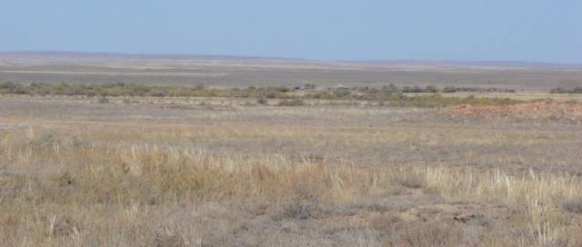 Kazakhstan Steppe