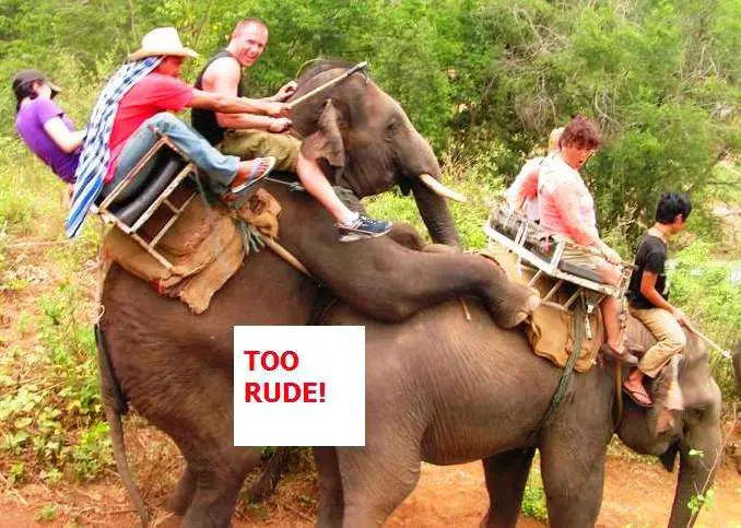Elephant Ride Thailand