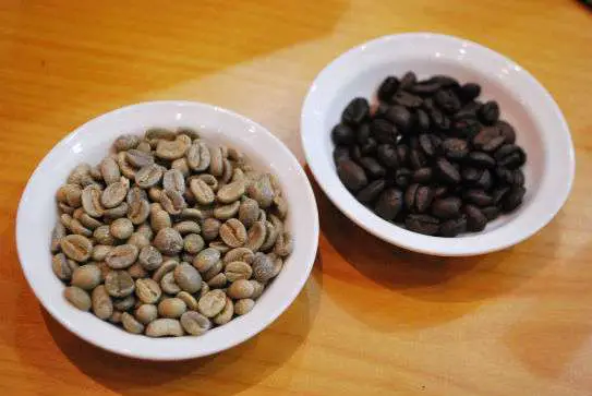Kopi Luwak Coffee Beans | Airasia Pesta Blogging Communities Trip 2009 | Kopi Luwak - Coffee From Cat Poo. World'S Most Expensive Beans! | Asian Palm Civet, Indonesia, Kopi Luwak Coffee, Rollaas Cafe, Surabaya | Author: Anthony Bianco - The Travel Tart Blog