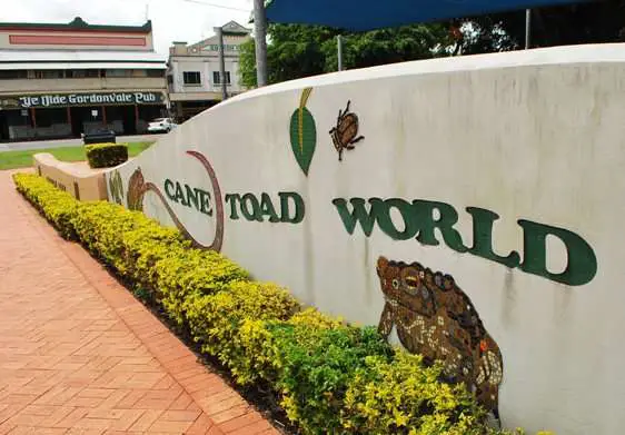 Cane Toad World - Weird Tourist Attractions