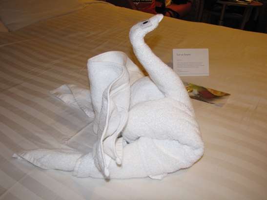 Towel Folding The Swan | North America Travel Blog | Towel Folding Into Shapes &Amp; Animals – An Unusual Cruise Ship Activity | North America Travel Blog | Author: Anthony Bianco - The Travel Tart Blog