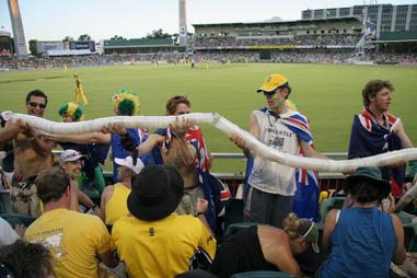 ICC Cricket World Cup Funny Moments - The Best Ever! | The Travel Tart Blog
