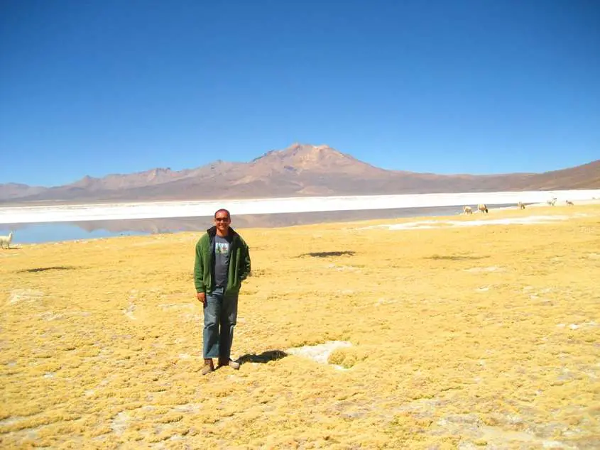 Lauca | Travel Tips | Travel 2010 Versus Travel In 1990 | Travel Tips | Author: Anthony Bianco - The Travel Tart Blog