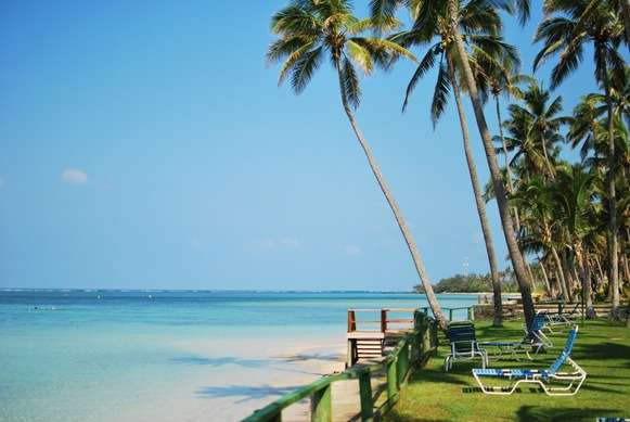 Coconut Husking And Cracking Coconut Lined Beach In Fiji | Fiji Travel Blog | Coconut Husking And Cracking – The Fijian Way | Coconut Cracking, Coconut Husking, Coconut Milk, Coral Coast, Fiji, Nadi, Pacific Harbour, Suva, Travel Blogs | Author: Anthony Bianco - The Travel Tart Blog