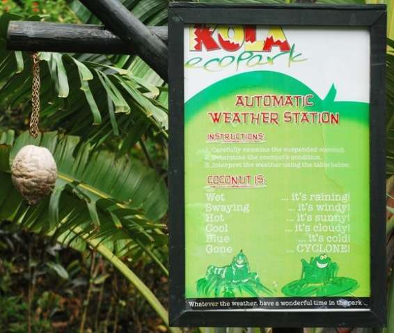 Weather Indicators Automatic Weather Station From Fiji Coconut | Fiji Travel Blog | Weather Indicators From An 'Automatic Weather Station' - Fiji Style | Automatic Weather Station, Blogsherpa, Coral Coast, Fiji, Funny Travel, Kula Eco Park, Offbeat Travel, Travel Blogs, Weather Indicators, Weird Travel | Author: Anthony Bianco - The Travel Tart Blog