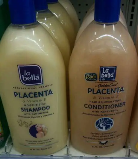 The Placenta Shampoo And Conditioner - Odd Travel Photo