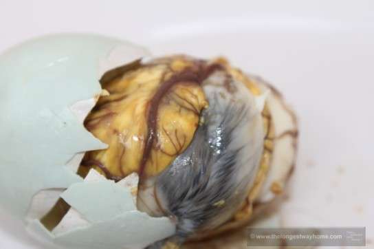 Balut, Philippines. Crunchy Duck Fetus For Breakfast