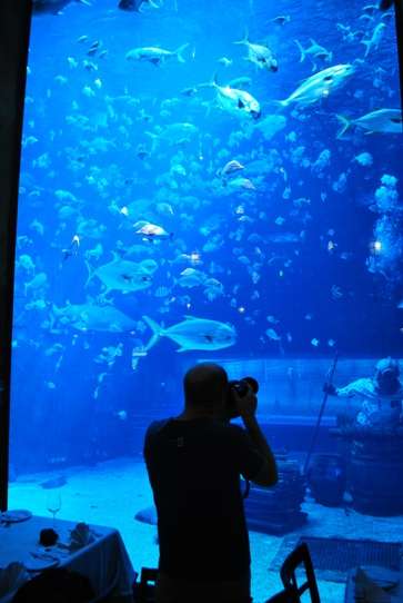 Cool Restaurant - Cargo Hold Durban South Africa