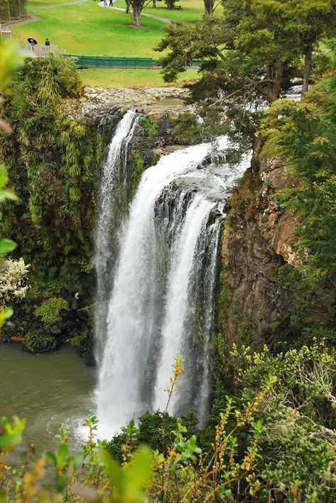 Whangerei Falls New Zealand