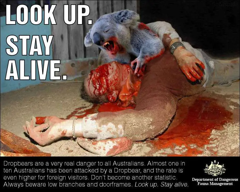 Drop Bears Warning