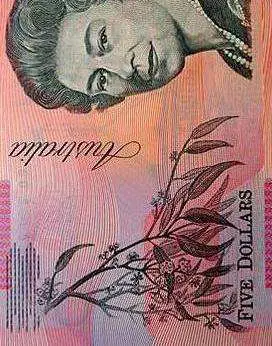 Funny Money Origami: Australian $5 Dollar Note | The Travel Tart Blog
