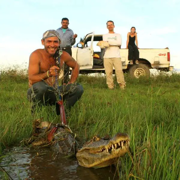 Los Llanos Colombia Venezuela