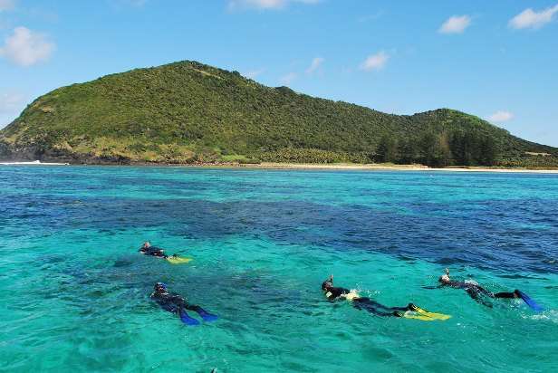 Snorkelling - Lord Howe Island