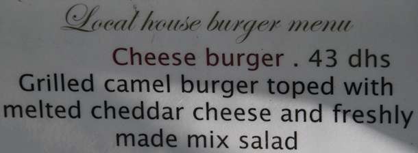 Camel Cheese Burger
