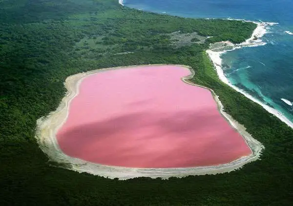 The Pink Lake - Lake Hillier, Western Australia