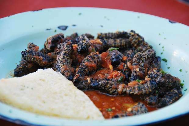 Eating Worms Mopani South Africa | Andrew Zimmern | Eating Worms In South Africa. Weird Food Time! | Andrew Zimmern | Author: Anthony Bianco - The Travel Tart Blog