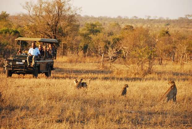 Safaris In Africa