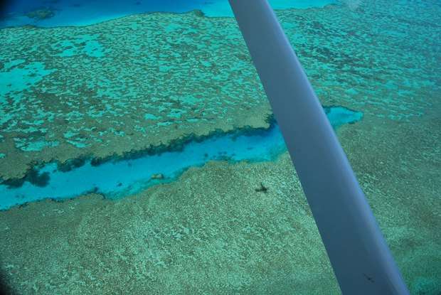 Great Barrier Reef Scenic Flights