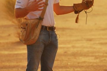 Falconry In Dubai E1550104136184 | United Arab Emirates Travel Blog | Falconry In Dubai - Like Having A Bird On A Yo-Yo! | United Arab Emirates Travel Blog | Author: Anthony Bianco - The Travel Tart Blog